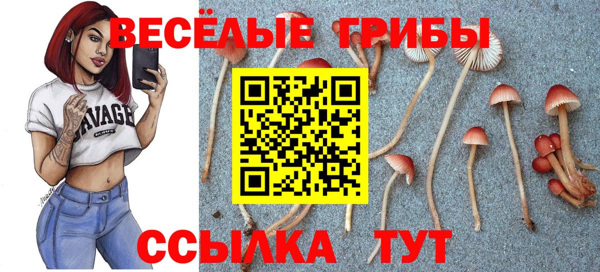 Галлюциногенные грибы мицелий  Псилоцибиновые грибы прущие грибы  Вход с VPN  Прохладный 
